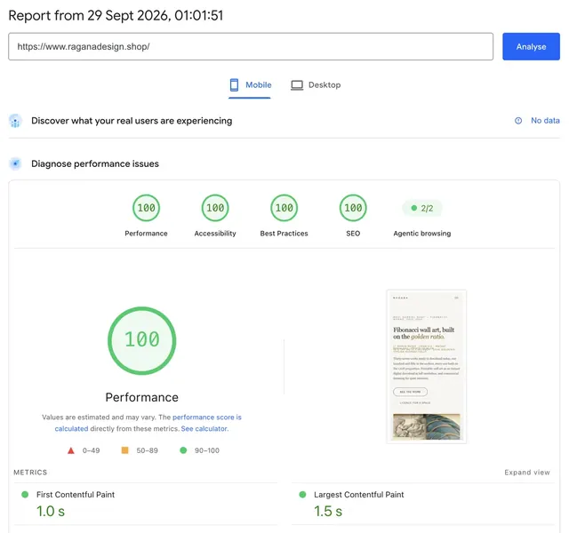 Raport Google PageSpeed Insights pentru raganadesign.shop: 100 la performanță, accesibilitate, bune practici și SEO